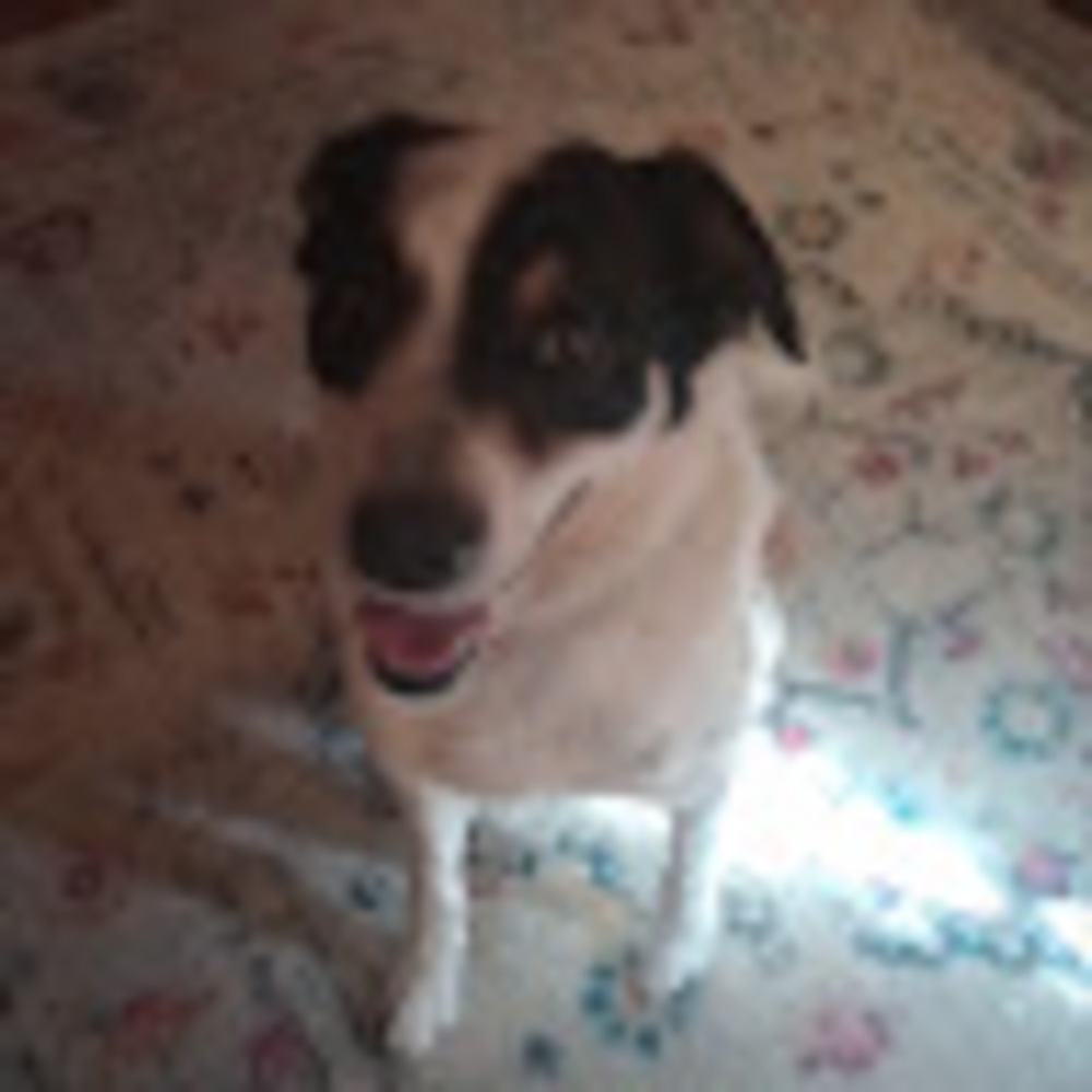 Meet your Posher, Mj